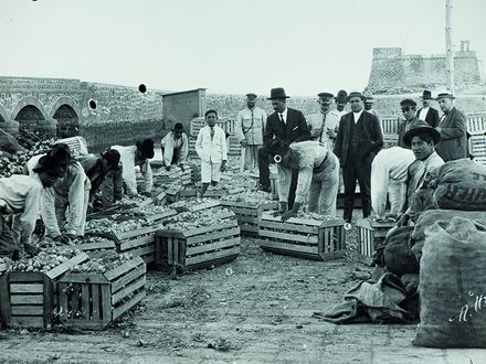 ARRECIFE HISTORIAS DEL VIEJO PUERTO