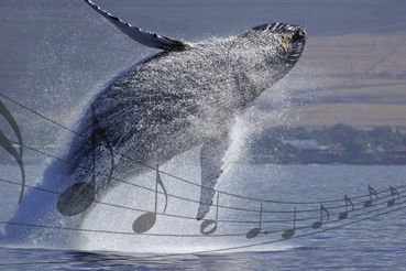 CUANDO EL MAR ES MÚSICA