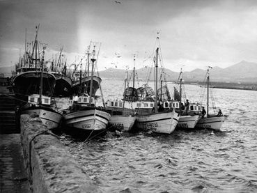 LA PESCA EN LANZAROTE