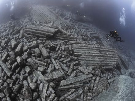 LA VIDA BAJO LAS AGUAS