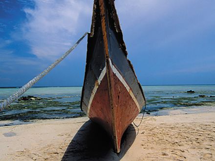 NO CULPEN AL MAR DE SU GUERRA