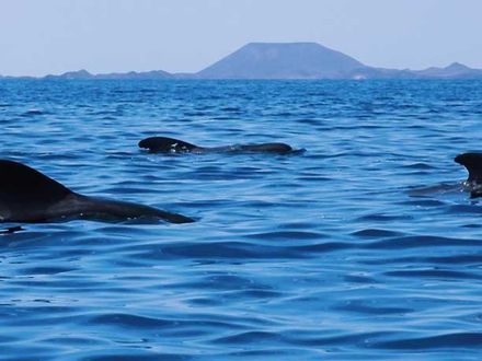 CONSERVAR NUESTROS PARAÍSOS MARINOS