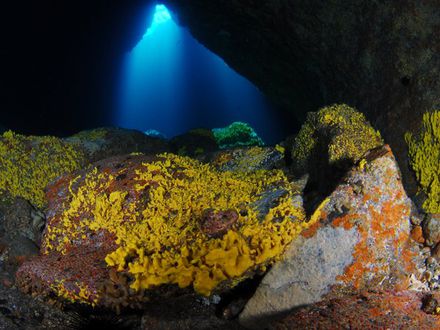 LAS CUEVAS SUBMARINAS    