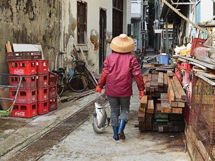 LOS TANKA DE HONG KONG