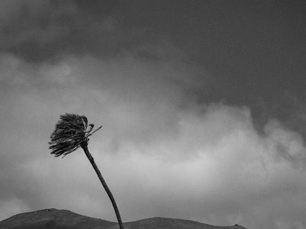 Rincones de Lanzarote