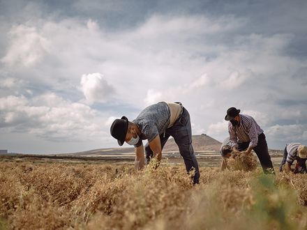 Abonemos el sueño de volver a la tierra