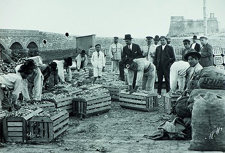 ARRECIFE HISTORIAS DEL VIEJO PUERTO