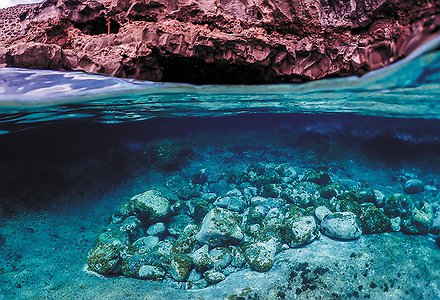 Tropicalización e invasiones 