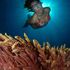 LA TALASOTERAPIA: EL MAR COMO FUENTE DE SALUD