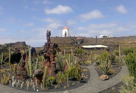 MUSEO JARDÍN DE CACTUS