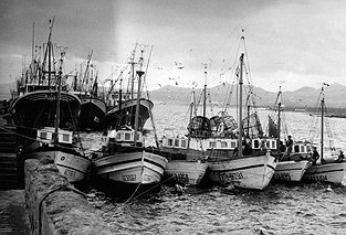 LA PESCA EN LANZAROTE