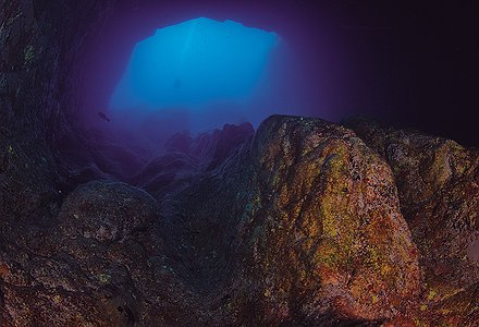 Un tesoro bajo el mar