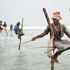 LOS PESCADORES  ZANCUDOS DE SRI LANKA